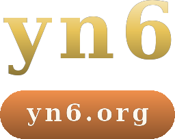 yn6 logo